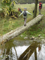 Byl to n�ro�n� �kol, ale v�ichni jsme to zvl�dli!